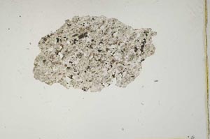 Plane Polarized, S1343