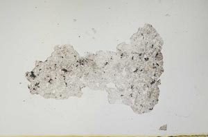 Plane Polarized, S1346