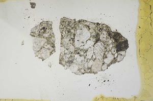 Plane Polarized, S1349