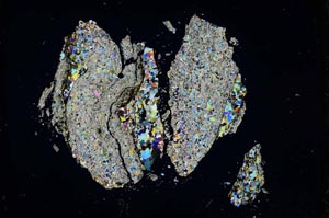 Cross Polarized, S1351