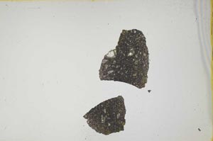 Plane Polarized, S1356