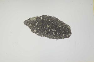 Plane Polarized, S1358