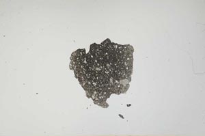 Plane Polarized, S1360