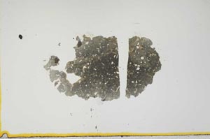 Plane Polarized, S1362