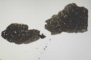 Plane Polarized, S1363/1