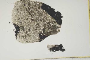 Plane Polarized, S1376