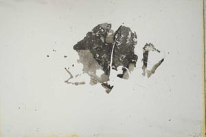 Plane Polarized, S1377/a