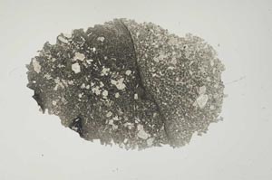 Plane Polarized, S1378