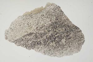 Plane Polarized, S1382