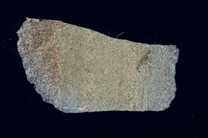 Cross Polarized, S1383