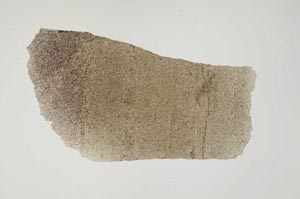 Plane Polarized, S1383