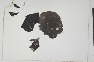 Plane Polarized, S1384