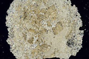 Cross Polarized, S1385