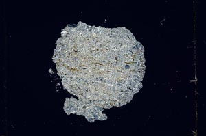 Cross Polarized, S1386