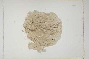 Plane Polarized, S1386