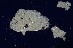 Cross Polarized, S1390