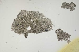 Plane Polarized, S1390