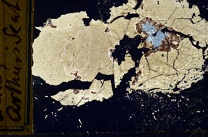 Cross Polarized, S1396