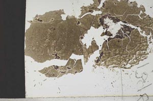 Plane Polarized, S1396