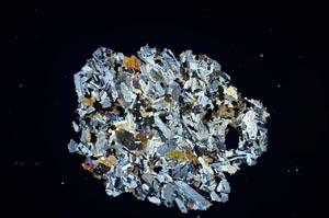 Cross Polarized, S1401