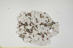 Plane Polarized, S1401