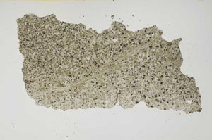 Plane Polarized, S1412