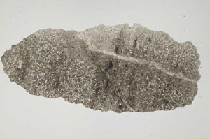 Plane Polarized, S1413