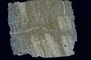 Cross Polarized, S1414