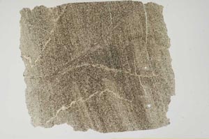 Plane Polarized, S1414