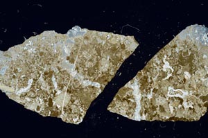 Cross Polarized, S1416