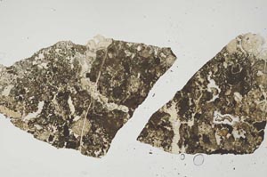 Plane Polarized, S1416