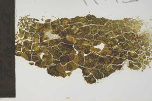 Plane Polarized, S1417