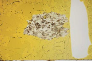 Plane Polarized, S1447
