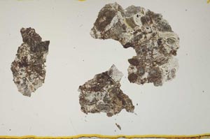Plane Polarized, S1449