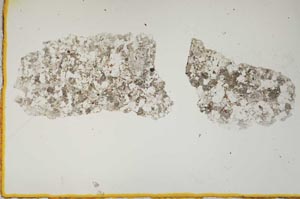 Plane Polarized, S1454