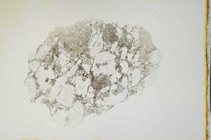 Plane Polarized, S1455