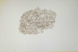Plane Polarized, S1456