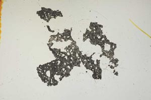 Plane Polarized, S1467
