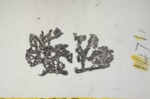 Plane Polarized, S1471