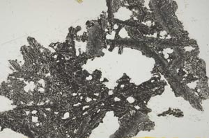 Plane Polarized, S1473