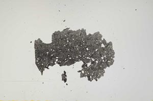 Plane Polarized, S1475