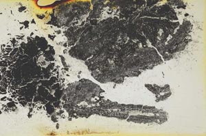 Plane Polarized, S1476
