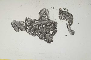 Plane Polarized, S1481