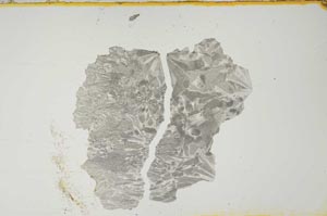Plane Polarized, S1493