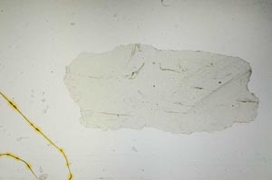 Plane Polarized, S1498