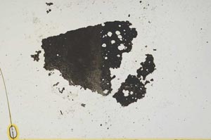 Plane Polarized, S1509