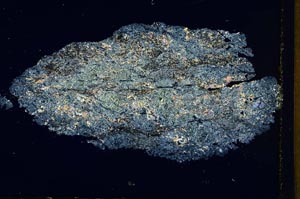 Cross Polarized, S10903