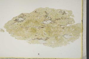 Plane Polarized, S10903