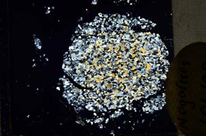 Cross Polarized, S11052