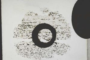 Plane Polarized, S11054